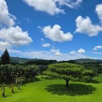 沖縄本島と石垣島、音遊びの旅。。。7日目