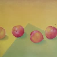 個展    パステル画展　1988/9・16〜30     喫茶キタガワ    帯広　　＝絵画＝