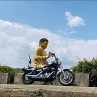 本の副反応