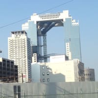 インターンシップ&仕事研究