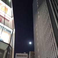 「オリジナルTVアニメ『月がきれい』放送5周年記念全話上映会」感想