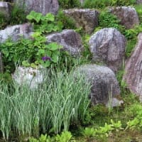 静かに降る雨に、、、、