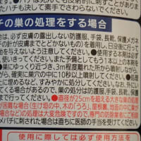 スズメバチの巣にご注意