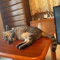 時が来るのを待っているだけの日々です。