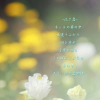 Photo　Poem　－淡き恋－
