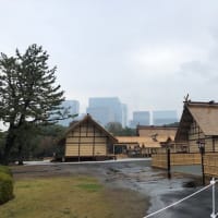 大荒れの天気の中、大嘗宮を参観