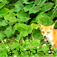 男ジャム(その2)