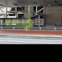 久しぶりの再会