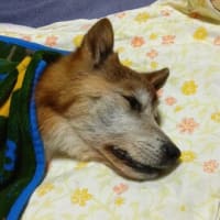 4月27日(日)　ありがとう！！