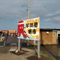 今日は調整休みのためスクーターのならし