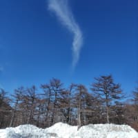 ホームセラピスト的な…
