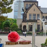 ★KIOI ROSE WEEK 2025（東京ガーデンテラス紀尾井町）
