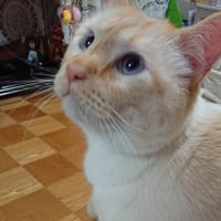 これ！何か入ってます？