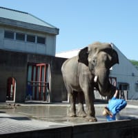 愛媛県立とべ動物園