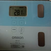 ダイエット336日目