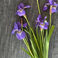 5月5日