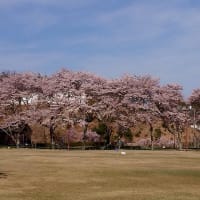 おまけ
