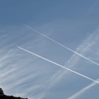 🔵夏を越せる気がしない🔵2025.7.1
