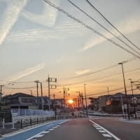 令和７年6月20日　　ブログの引っ越し・・・