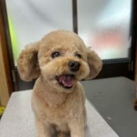 美形対決❣️