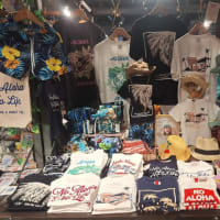 六本松 蔦屋書店POP UPは