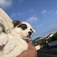 一人っ子生活開始