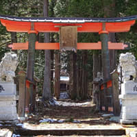 聖山の聖域◆樋知大神社