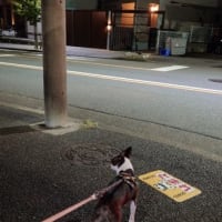 母転んで介護ベッドを借りることになりました