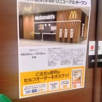 マクドナルド イオン豊川開運通店　肉厚ビーフ&ガーリックオニオンビーフセット（ジュラシック・ワールド バーガーズ）＆チキンマックナゲット5ピース