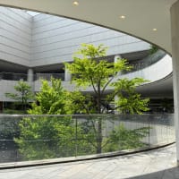 4月を振り返り