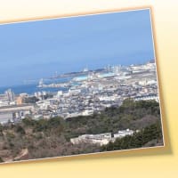 新居浜港
