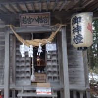 賽銭が今の時世を反映す