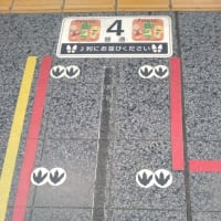 日帰りで帰省