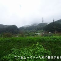 楽しいウォーク「基山の棚田を歩く」（佐賀県基山町）