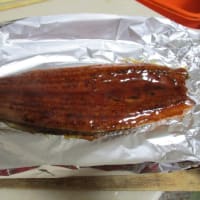質素に少量-今日も元気----ウナギのかば焼き、梅干のお粥、アスパラ＋豚肉＋キャベツ炒め、カレーライス、鰊の甘煮、パイナップル、イチゴなど