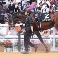 ちょっと楽しみ