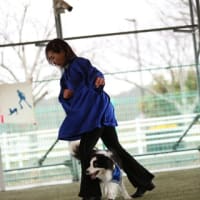 あたし　忘れられてる！2025.3.16 ドッグダンスコンペ