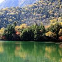 日光の紅葉狩り