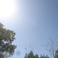 改めてうちの爺ちゃん凄い