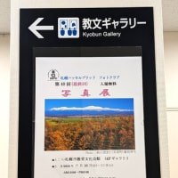 写真展　飛び入りで見てきました。