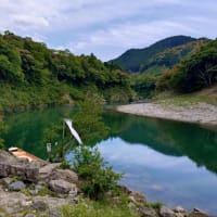 新緑の大台町