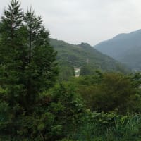 令和7年7月2日・今朝の東祖谷22℃（19.7℃）