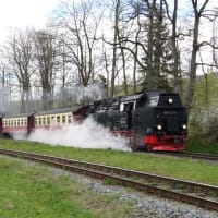806-ドイツ　ハルツ狭軌鉄道（３）