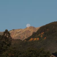 信州長期滞在の旅　第三日目　朝露満月や　白馬のもみじ　ご挨拶　　2019.10.16　「26」　№8