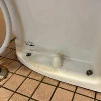 何か良いものは無いかと
