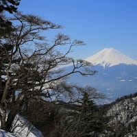 ここから眺める富士山もとっても素敵でした。