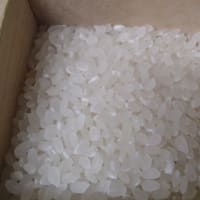備蓄米炊いてみた