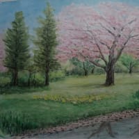 桜の絵とチューリップの写真