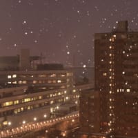 神戸に雪が降ったよ