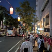 高知に行ってきました